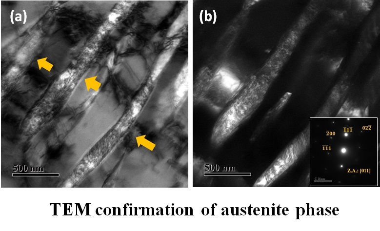 Bright field TEM micrograph