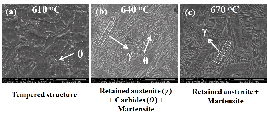 SEM micrograph of the specimens annealed