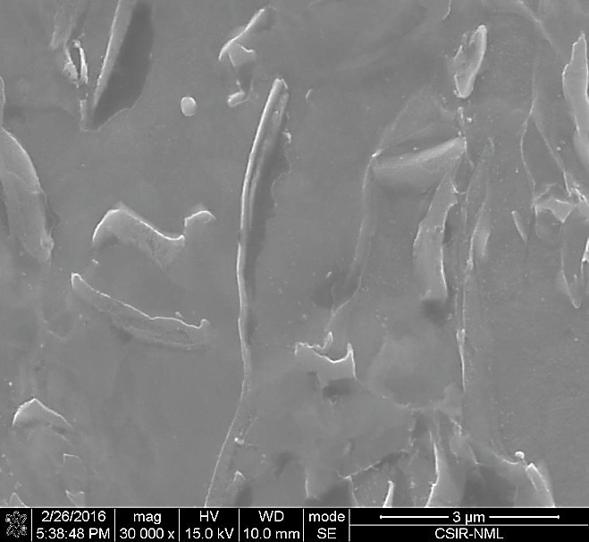 Micro crack at the martensite-ferrite interface at conventional DP steel