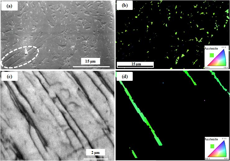 austenite and martensite phases