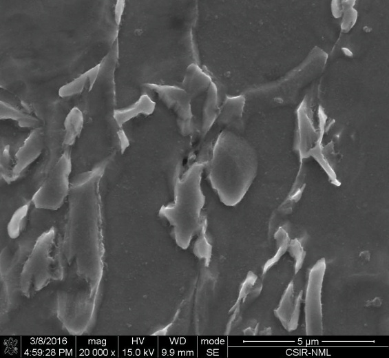 Micro crack at the martensite-ferrite interface at conventional DP steel